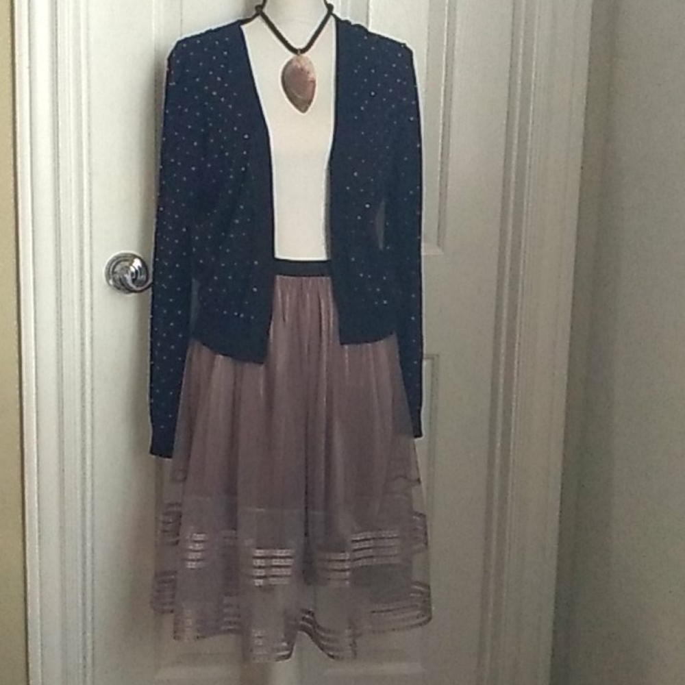Semi Sheer Full Skirt With Lining